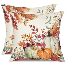DFXSZ Fall Pillow Covers 18x18 inch Set of 2 Orange White Pumpkin Fallen Leav...