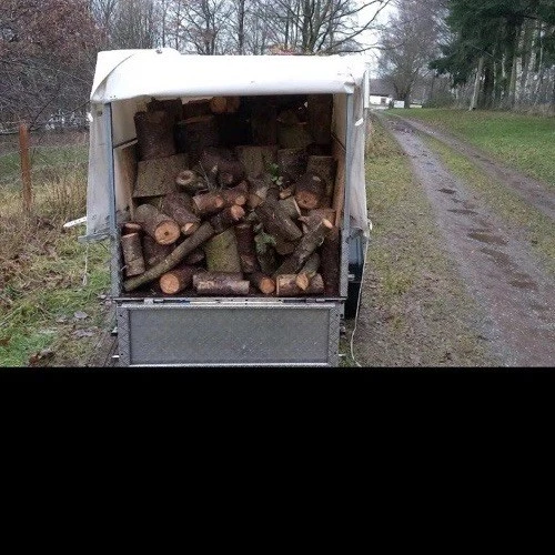 Brennholz Kaminholz - Bild 2 von 2