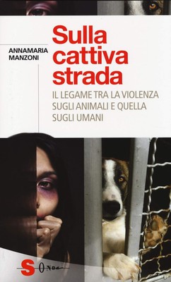 Annamaria Manzo Sulla cattiva strada. Il legame tra la violenza su (Taschenbuch)