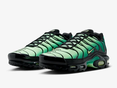 Nike Air Max Plus Vapor Green Gradient TN Sneaker Schuhe 44.5 46 47.5 DM0032-301