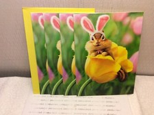 EASTER AVANTI GREETING CARDS New w/Envelopes LOT 4 "Some bunny loves you "