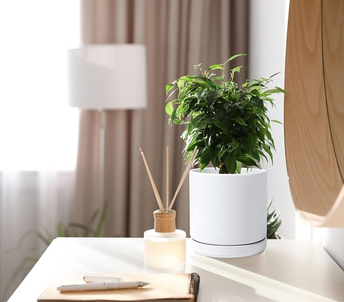 Modern White Ceramic Planter Set of 2 - 6 Inch Pots with Drainage & Accessories - Picture 4 of 8