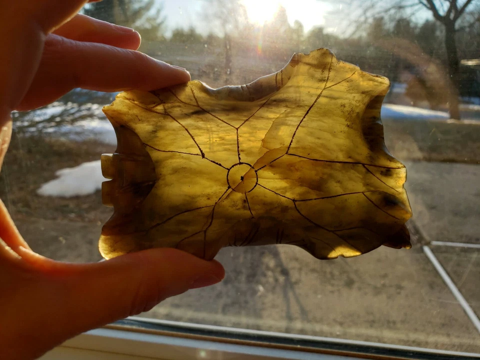 Lavadora de cepillo y brotes de hojas de loto jade espinaca translúcida china de colección Foto 4 de 4