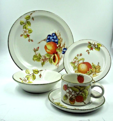 Vintage Stonehenge Midwinter ~ Still Life ~ 5 Piece Place Setting ~Oven to Table