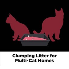 ARM  HAMMER Clump  Seal Platinum Clumping Cat Litter Odor Control, Multi-Cat,