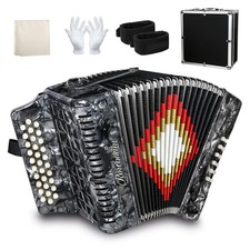 Diatonic Accordion 31 Key 12 Bass Gray F/B/E Airtight Bellows