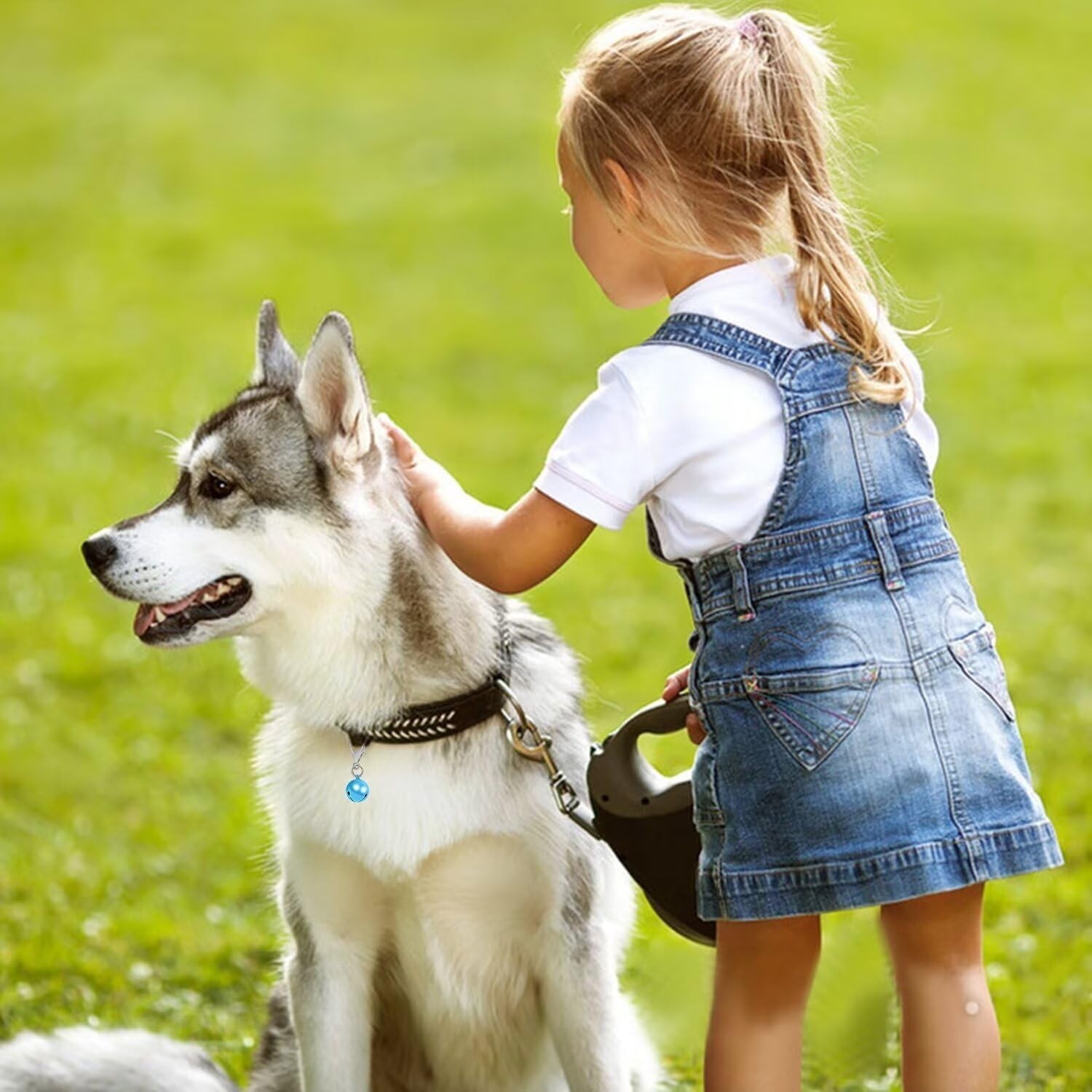 Campanelle per Collare Cane e Gatto - Confezione da 6 foto 4