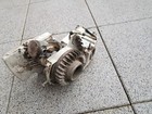 Bild 9 von 17