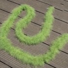 Bild 9 von 41