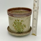 Picture 7 of 7