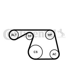 CONTINENTAL CTAM 6PK1310K1 Keilrippenriemensatz für FIAT,LANCIA