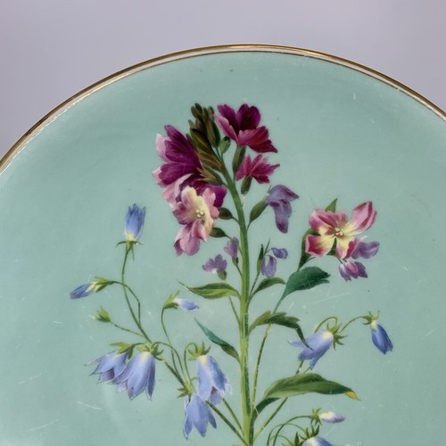 English porcelain plate, soft green with flower specimen. possibly Brownhill,... - Bild 2 von 5