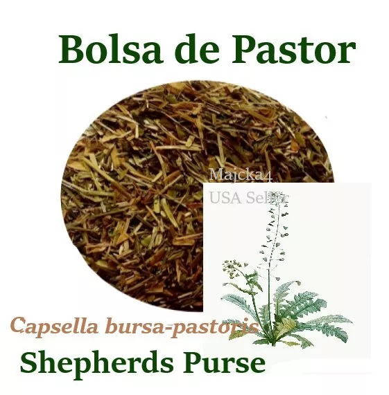 PDF) Impact of Capsella Bursa-Pastoris (Shepherd's Purse) Herbal Tea  Preparations on Symptoms and Severity of Hemorrhoidal Disease: A  Prospective Randomized Study