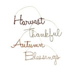 Bethany Lowe Thanksgiving Wire Ornaments (Set/4)