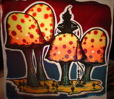 MUSHROOM TRIP VINTAGE 1970's RATS HOLE HEADSHOP IRON ON TRANSFER B-20