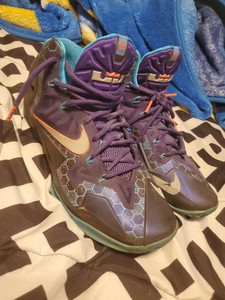 lebron 11 purple