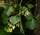 Picture 4 of 7