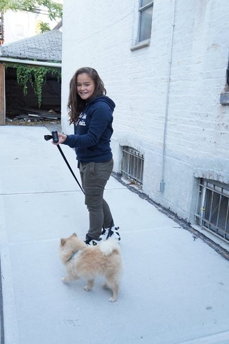 Petica Poop Bags, Dog/Pet Waste Bags, +Leash Bone Dispenser, 12.5x8.6 Case - Picture 4 of 5