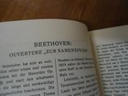 Bild 8 von 19