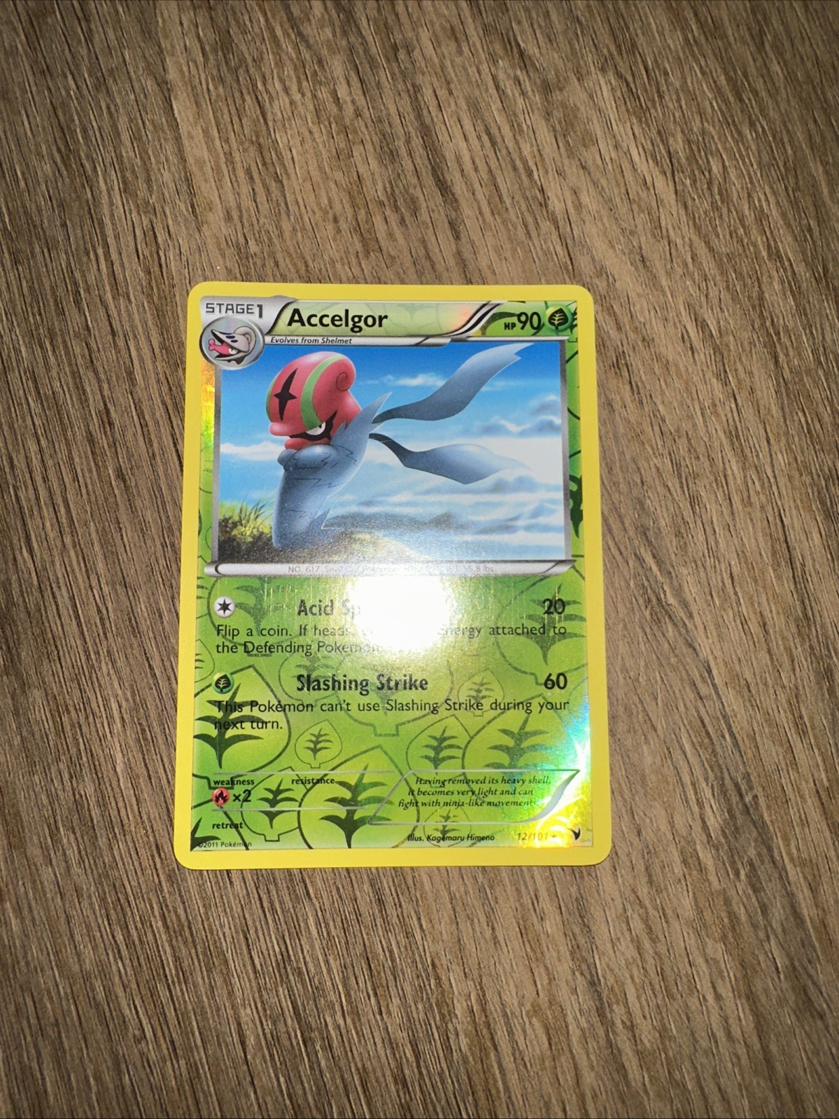 Pokémon TCG Accelgor 12/101 Noble Victories Reverse Holo Rare NM