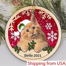 Maine Coon Cat Christmas Ceramic Ornament, Personalized Cat's Name Christmas