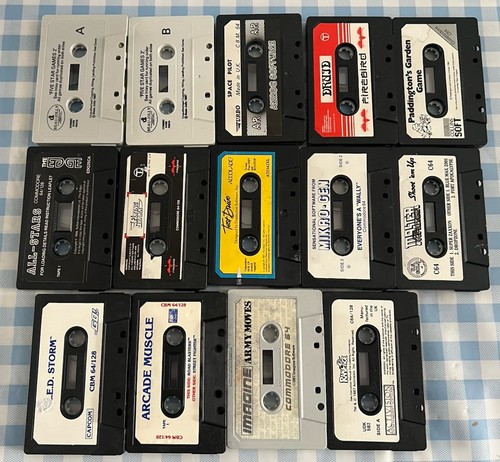 x14 Commodore C64 Spiele lose Kassetten - Rampage, Druide, Paddington + mehr