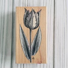 Hero Arts Small Tulip Etching F1936 Rubber Craft Stamp