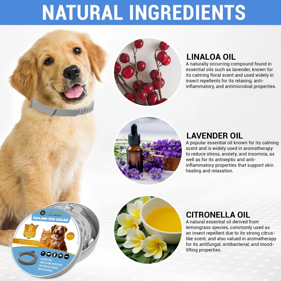 Ani-Safe New Adjustable Anti Flea Tick Collar For Pets Protection Dogs Cats UK - Image 2 of 4