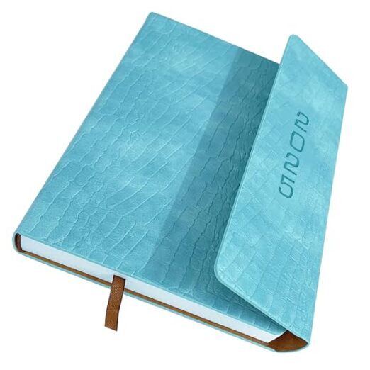 2025 Light Blue Daily Planner with Hourly, Daily & Monthly Layouts