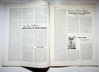Foto 5 di 10