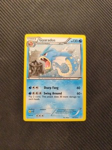 Gyarados 24/124 Dragons Exalted Blister Exclusive Cosmos Holo NM Pokemon TCG eng