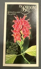 2019 TOPPS ALLEN & GINTER MINI IN BLOOM BRAZILIAN PLUME INSERT #IB-14 SP