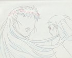 The Twelve Kingdoms Juuni Kokki Genga Douga Original Sketches Pierrot - Youko — photo 9