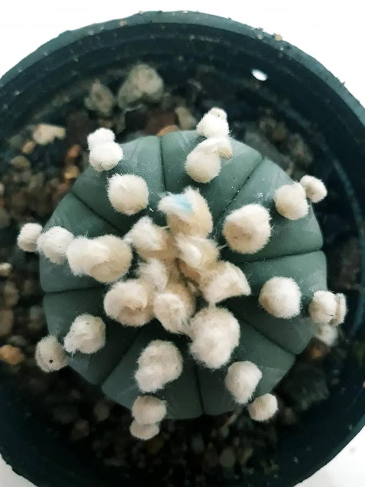 Picture 2 of 5