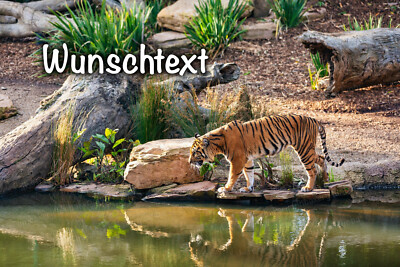 Tiger eßbar Tortenbild Party Deko personalisiert Geschenk Geburtstag Name Katze
