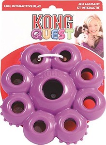 kong quest large