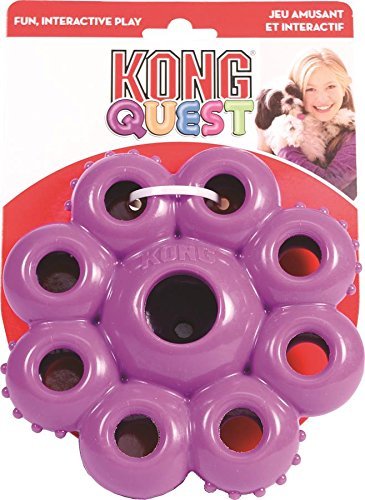 kong quest dog toy