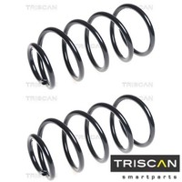 2X Fahrwerksfeder Triscan 875016093 2 Federn Satz Federnsatz FüR Ford