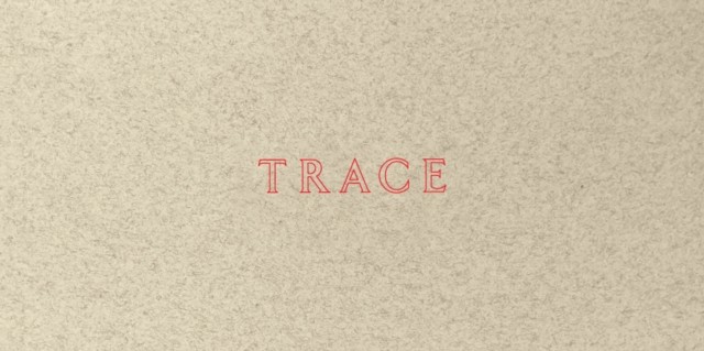 Jenny Holzer Trace by Jenny Holzer PAPERBACK 9780892075652