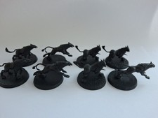 8 x GRYPH HOUNDS, STORMCAST ETERNALS, WARHAMMER AGE OF SIGMAR AOS
