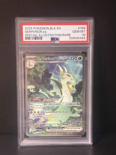 Pokemon Black Bolt: Serperior ex 164/086 SIR - PSA 10 GEM MT 💎