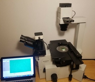 Olympus IX50 Inverted Phase Contrast Microscope Trinocular with Camera 