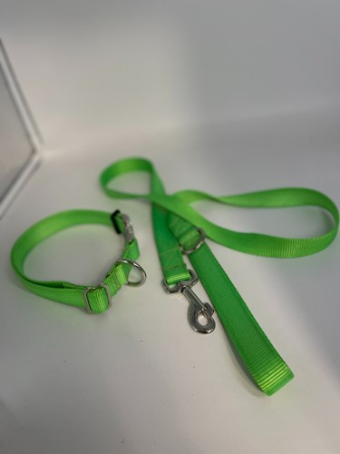 Juego de collar y correa Carter Pet Supply hecho a mano en EE. UU. - Imagen 6 de 18