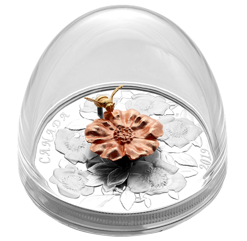 BUMBLE BEE and the Bloom 2019 CANADA 5oz .9999 Pure Silver Proof $50 Coin - Picture 3 of 6