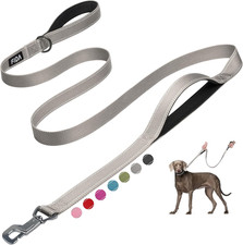 6 FT Heavy Duty Dog Leash with 2 Comfortable Padded Handles