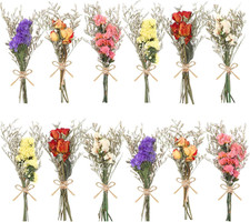 12/24 Pack Dried Flowers for Vase Various Mini Bouquet Dried Small Wildflowers