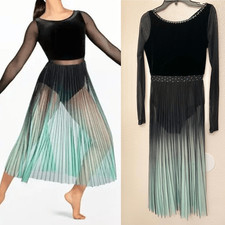 Weissman solo Dance costume custom velvet pleated stoned Ombre Dress D12297 SA