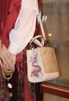 NWT Coach CP481 New Year Dempsey Tote 22 With Dragon Signature Canvas & Leather