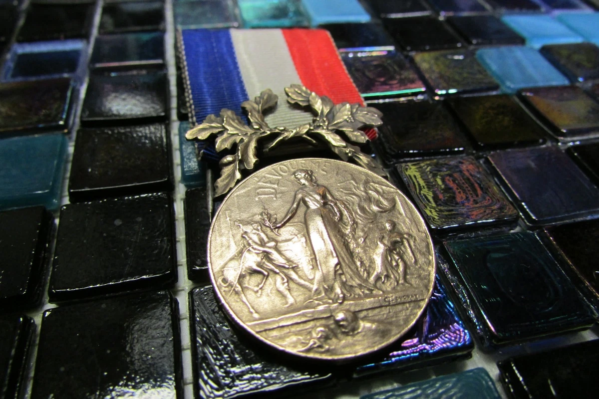 MEDAILLE REPUBLIQUE FRANCAISE COMICE AGRICOLE de haute savoie EUR 20,00