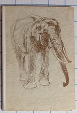 🦉 Buch - Wolfgang Ullrich / ...und dann wurden Tiere unsere Gefährten (P. 1953)